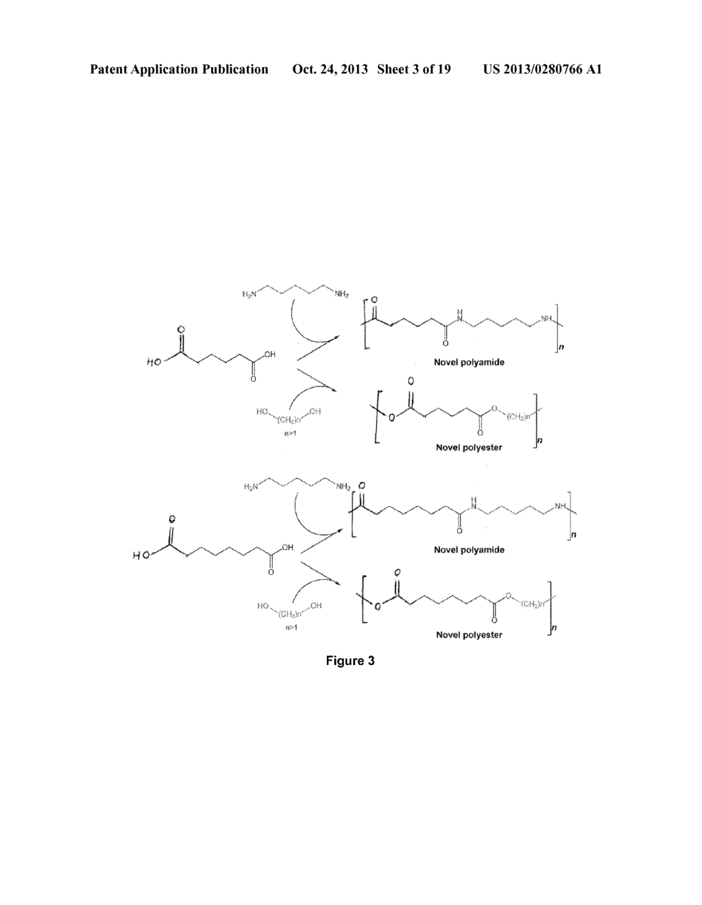 HYBRID POLYKETIDE SYNTHASES - diagram, schematic, and image 04