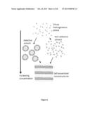 PROTEIN-BASED CONJUGATES AND SELF-ASSEMBLED NANOSTRUCTURES diagram and image