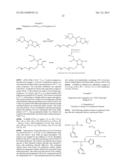 POLYMERIC ALPHA-HYDROXY ALDEHYDE AND KETONE REAGENTS AND CONJUGATION     METHOD diagram and image