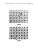 AGENTS AND METHODS FOR INHIBITING HUMAN PLURIPOTENT STEM CELL GROWTH diagram and image