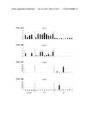 AGENTS AND METHODS FOR INHIBITING HUMAN PLURIPOTENT STEM CELL GROWTH diagram and image