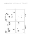 AGENTS AND METHODS FOR INHIBITING HUMAN PLURIPOTENT STEM CELL GROWTH diagram and image