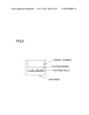 CELL CULTURE CHAMBER, METHOD FOR PRODUCING SAME, TISSUE MODEL USING CELL     CULTURE CHAMBER, AND METHOD FOR PRODUCING SAME diagram and image