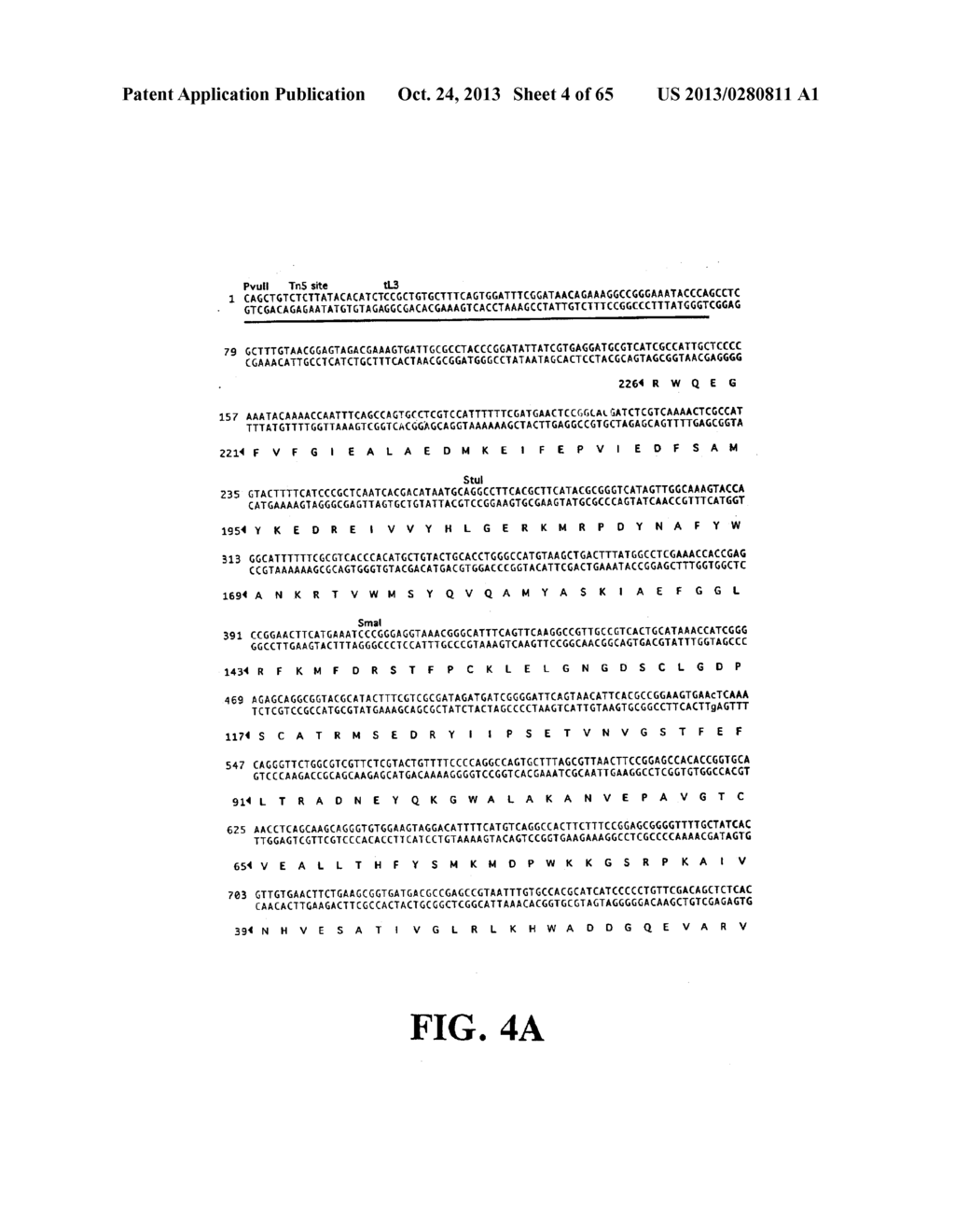 PLASMIDS AND PHAGES FOR HOMOLOGOUS RECOMBINATION AND METHODS OF USE - diagram, schematic, and image 05