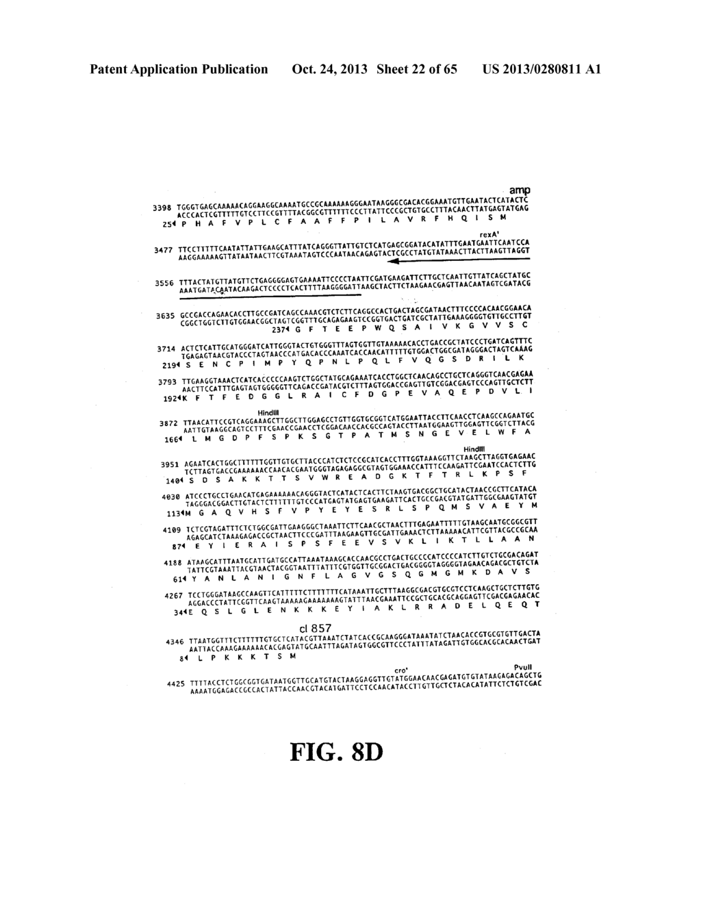 PLASMIDS AND PHAGES FOR HOMOLOGOUS RECOMBINATION AND METHODS OF USE - diagram, schematic, and image 23