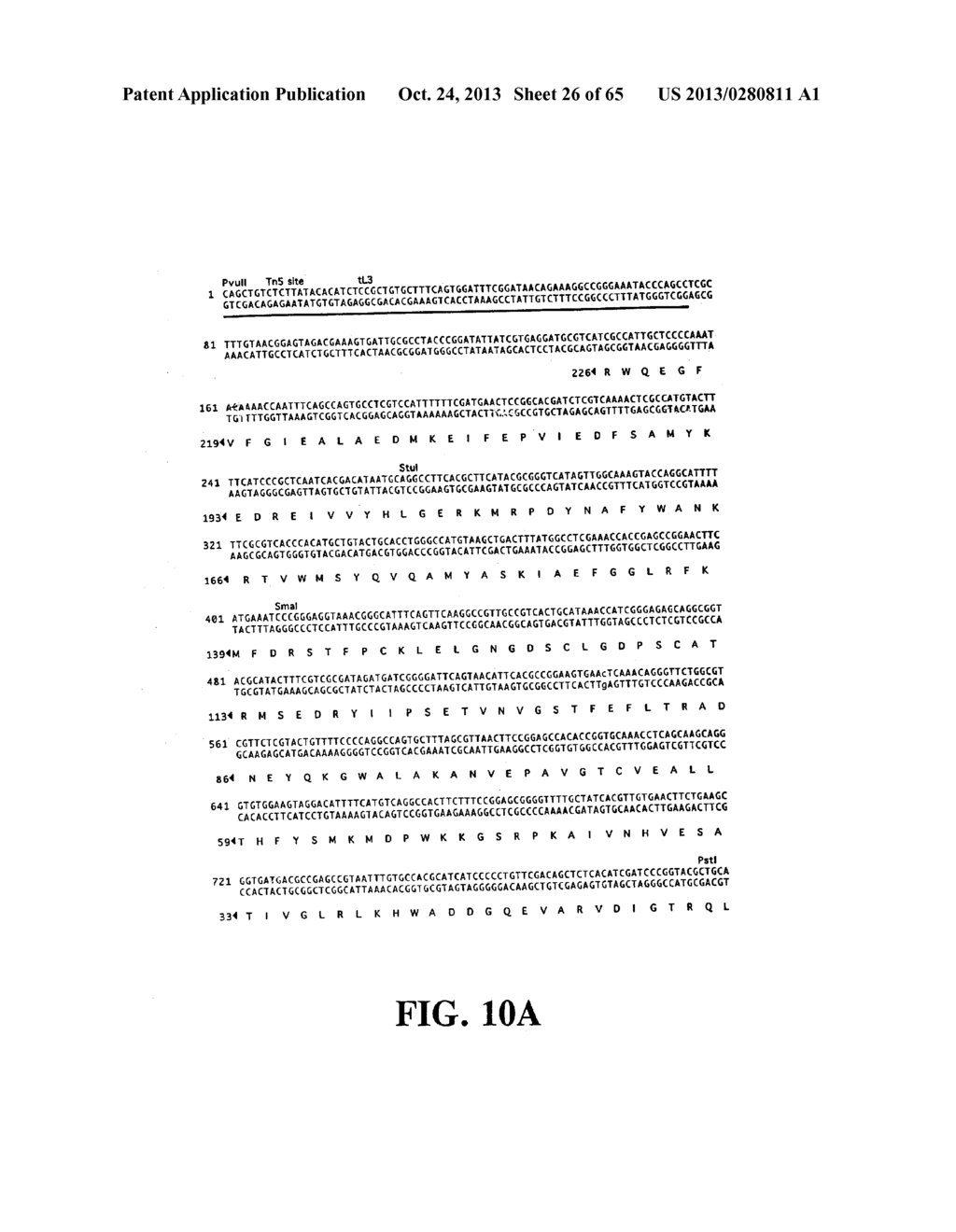 PLASMIDS AND PHAGES FOR HOMOLOGOUS RECOMBINATION AND METHODS OF USE - diagram, schematic, and image 27