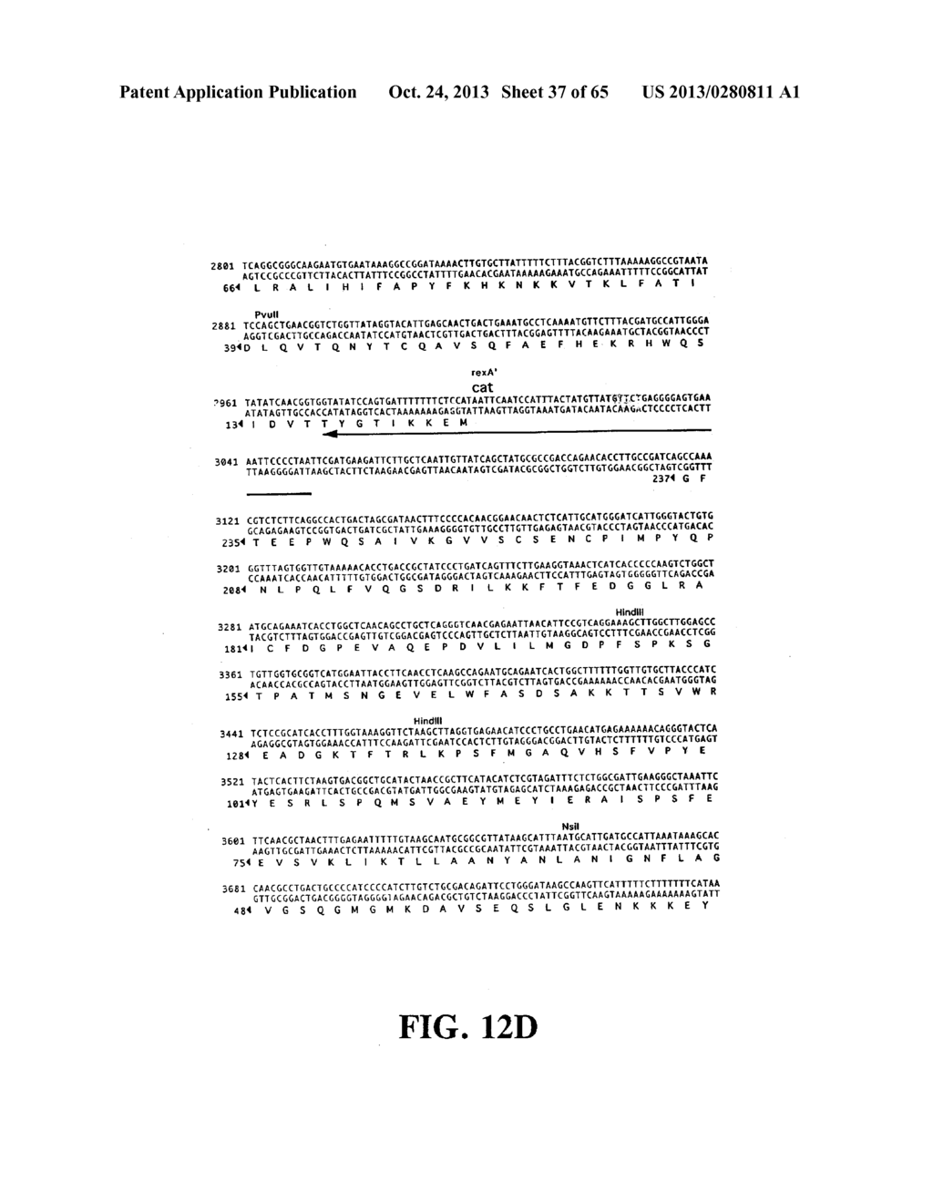 PLASMIDS AND PHAGES FOR HOMOLOGOUS RECOMBINATION AND METHODS OF USE - diagram, schematic, and image 38