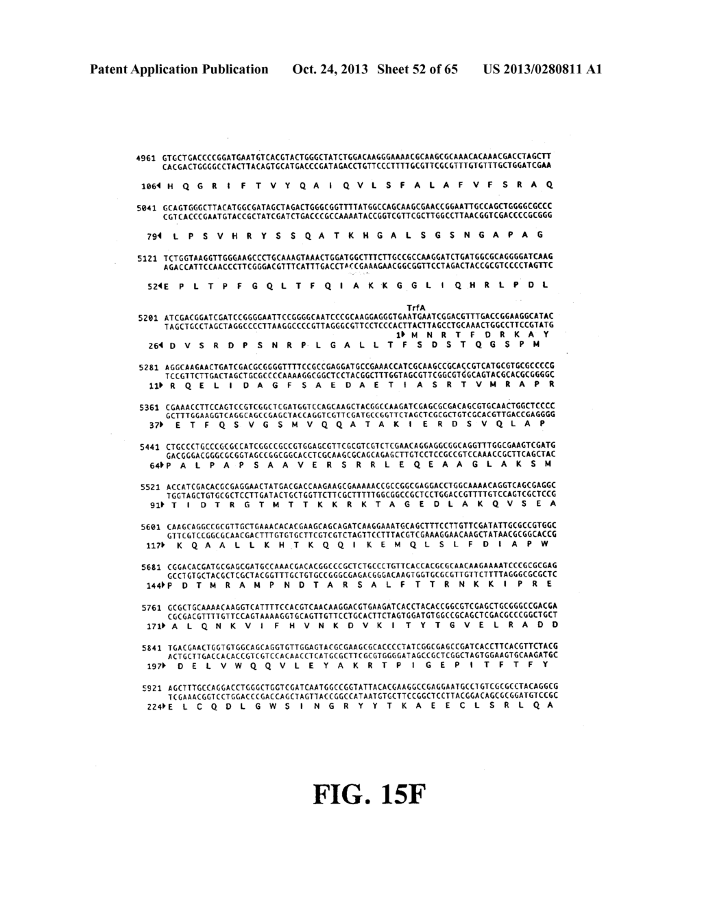 PLASMIDS AND PHAGES FOR HOMOLOGOUS RECOMBINATION AND METHODS OF USE - diagram, schematic, and image 53