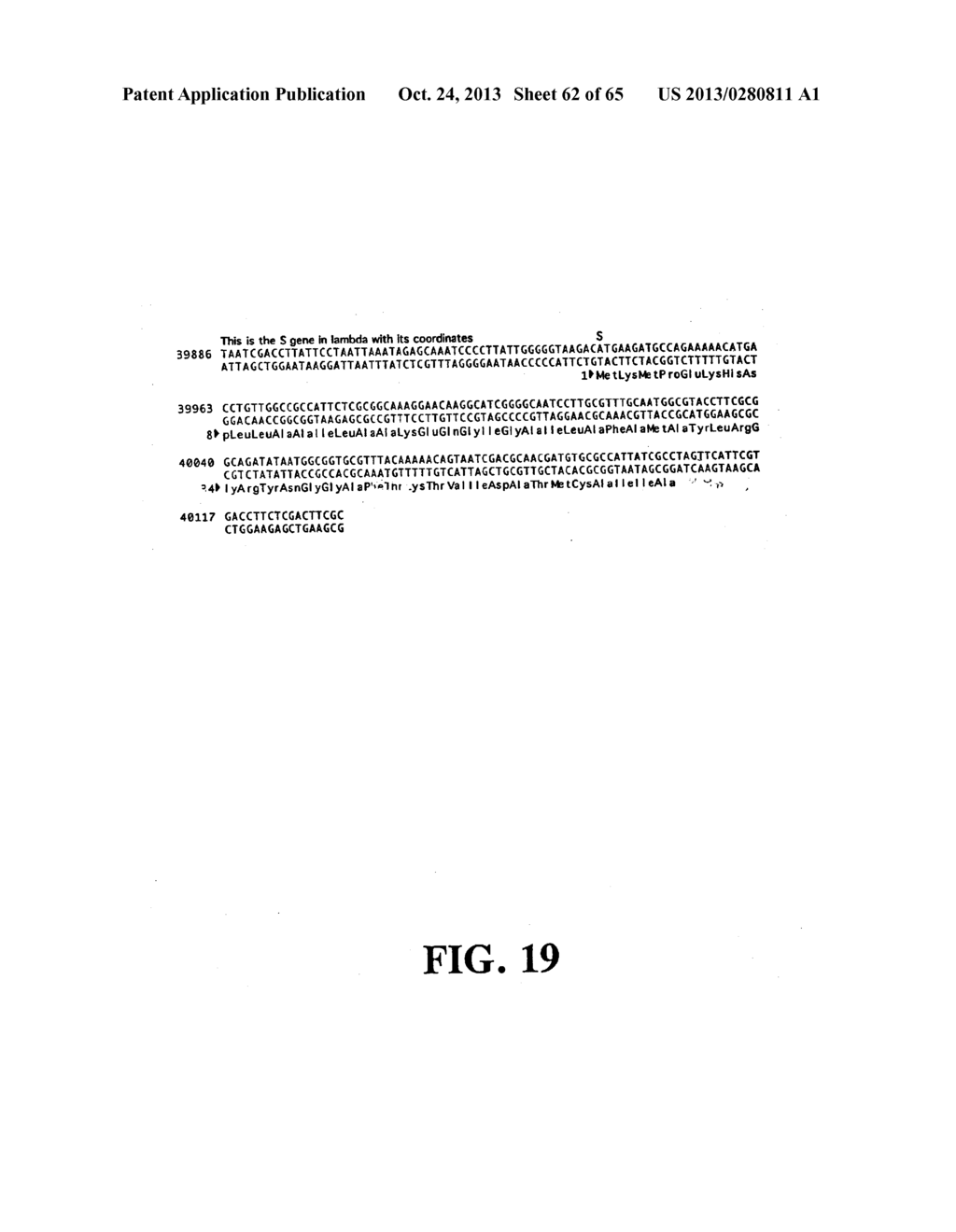 PLASMIDS AND PHAGES FOR HOMOLOGOUS RECOMBINATION AND METHODS OF USE - diagram, schematic, and image 63