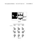 Combinatorial Methods for Making CIGS Solar Cells diagram and image