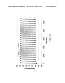 COMPOSITE SHOWERHEAD ELECTRODE ASSEMBLY FOR A PLASMA PROCESSING APPARATUS diagram and image