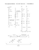 Templated Monolayer Polymerization and Replication diagram and image