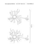 Templated Monolayer Polymerization and Replication diagram and image