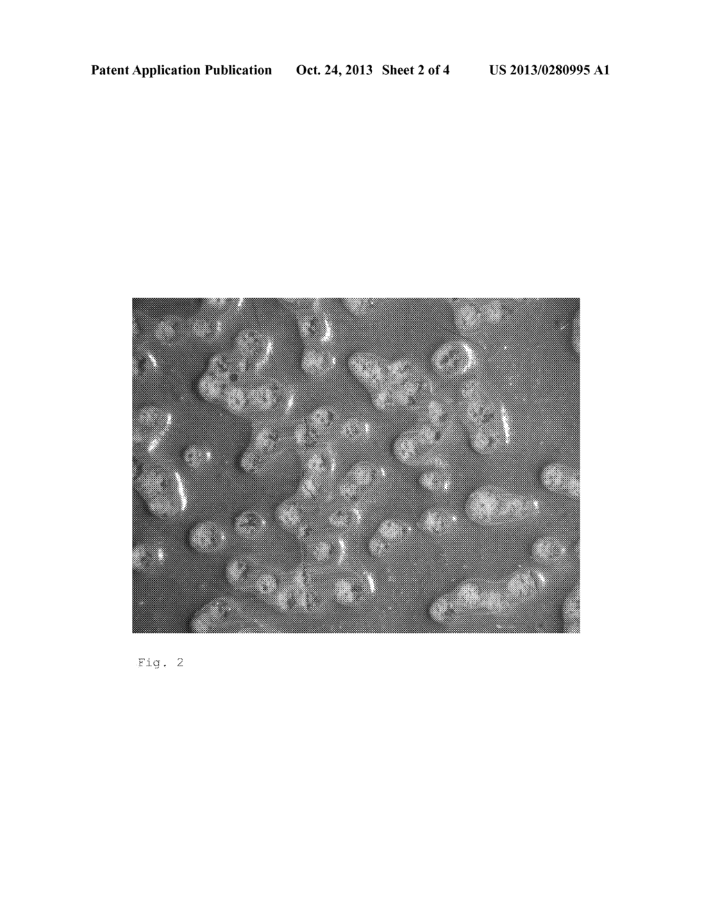 ABRASIVE MATERIAL AND ABRASIVE WHEEL - diagram, schematic, and image 03