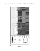 PROGNOSTIC AND/OR PREDICTIVE BIOMARKERS AND BIOLOGICAL APPLICATIONS     THEREOF diagram and image