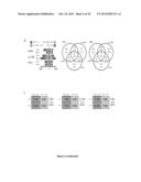 PROGNOSTIC AND/OR PREDICTIVE BIOMARKERS AND BIOLOGICAL APPLICATIONS     THEREOF diagram and image