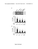 PROGNOSTIC AND/OR PREDICTIVE BIOMARKERS AND BIOLOGICAL APPLICATIONS     THEREOF diagram and image