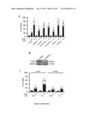 PROGNOSTIC AND/OR PREDICTIVE BIOMARKERS AND BIOLOGICAL APPLICATIONS     THEREOF diagram and image