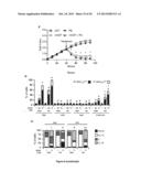 PROGNOSTIC AND/OR PREDICTIVE BIOMARKERS AND BIOLOGICAL APPLICATIONS     THEREOF diagram and image