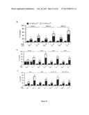 PROGNOSTIC AND/OR PREDICTIVE BIOMARKERS AND BIOLOGICAL APPLICATIONS     THEREOF diagram and image