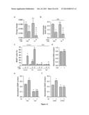 PROGNOSTIC AND/OR PREDICTIVE BIOMARKERS AND BIOLOGICAL APPLICATIONS     THEREOF diagram and image