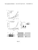 PROGNOSTIC AND/OR PREDICTIVE BIOMARKERS AND BIOLOGICAL APPLICATIONS     THEREOF diagram and image