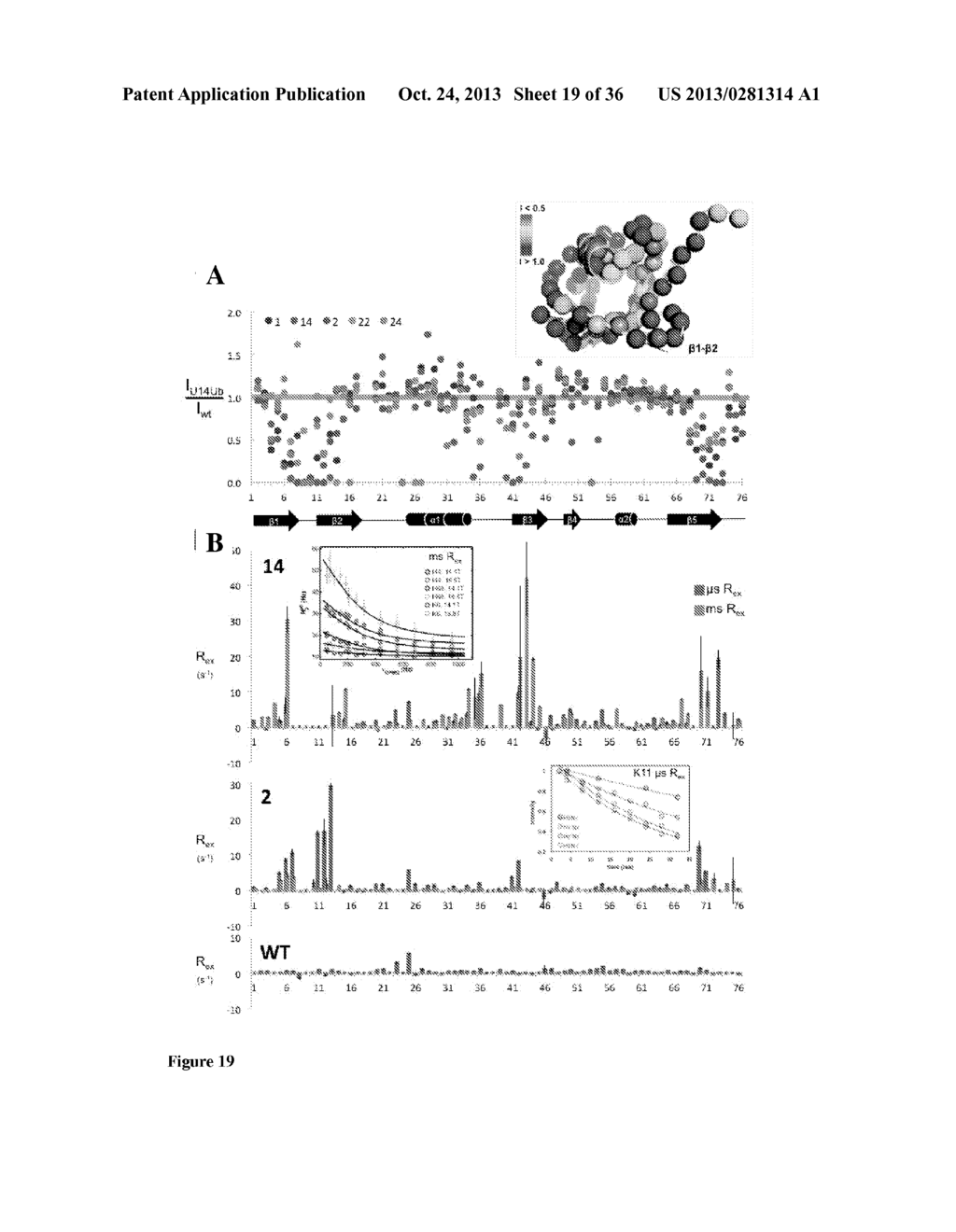 ENGINEERED CONFORMATIONALLY-STABILIZED PROTEINS - diagram, schematic, and image 20