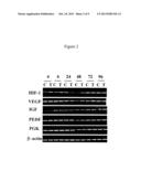 Methods of Screening an Agent for an Activity in an Isolated Eye of a     Teleost diagram and image