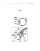 Methods of Screening an Agent for an Activity in an Isolated Eye of a     Teleost diagram and image