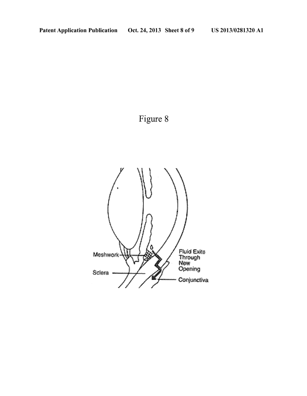 Methods of Screening an Agent for an Activity in an Isolated Eye of a     Teleost - diagram, schematic, and image 09