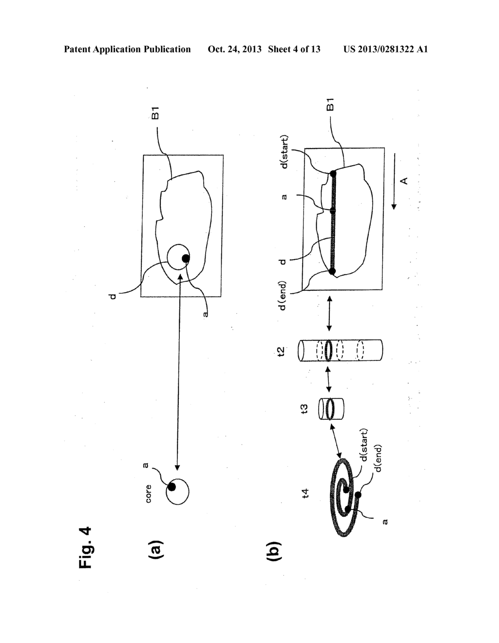 PROCESS OF FABRICATING TISSUE ARRAY - diagram, schematic, and image 05