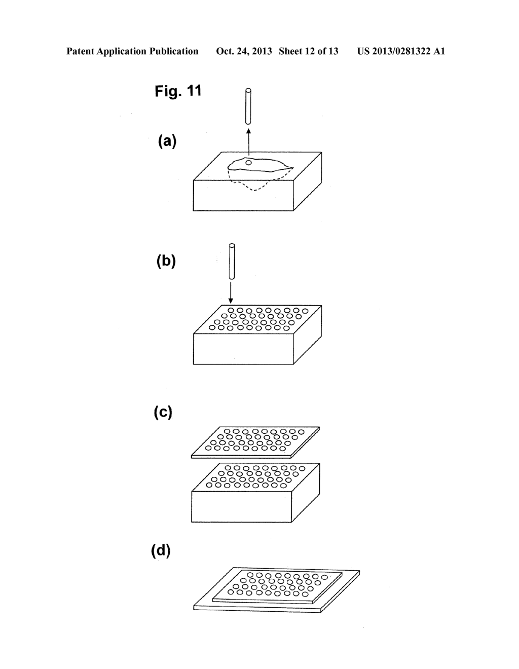 PROCESS OF FABRICATING TISSUE ARRAY - diagram, schematic, and image 13
