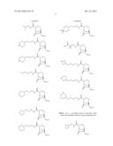 NEW BICYCLIC COMPOUNDS AND THEIR USE AS ANTIBACTERIAL AGENTS AND     BETA-LACTAMASE INHIBITORS diagram and image