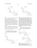 NEW BICYCLIC COMPOUNDS AND THEIR USE AS ANTIBACTERIAL AGENTS AND     BETA-LACTAMASE INHIBITORS diagram and image