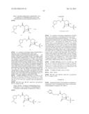 NEW BICYCLIC COMPOUNDS AND THEIR USE AS ANTIBACTERIAL AGENTS AND     BETA-LACTAMASE INHIBITORS diagram and image