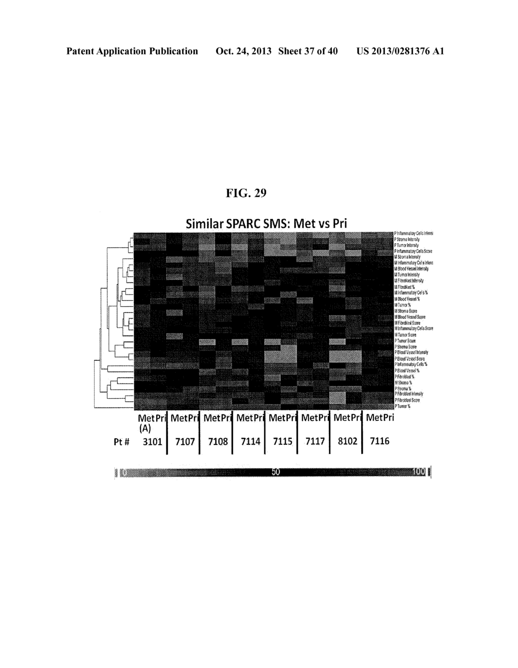 SPARC MICROENVIRONMENT SIGNATURE, PLASMA SPARC, AND LDH AS PROGNOSTIC     BIOMARKERS IN THE TREATMENT OF CANCER - diagram, schematic, and image 38