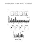 PHARMACEUTICAL COMPOSITIONS COMPRISING 8-SUBSTITUTED DIBENZYLBUTYROLACTONE     LIGNANS diagram and image