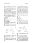 SMALL MOLECULE APOPTOSIS PROMOTERS diagram and image