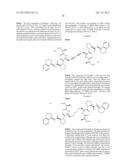 SMALL MOLECULE APOPTOSIS PROMOTERS diagram and image