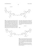 SMALL MOLECULE APOPTOSIS PROMOTERS diagram and image