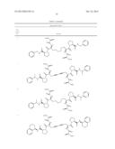 SMALL MOLECULE APOPTOSIS PROMOTERS diagram and image