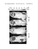 NOVEL TLR4 INHIBITORS FOR THE TREATMENT OF HUMAN INFECTIOUS AND     INFLAMMATORY DISORDERS diagram and image