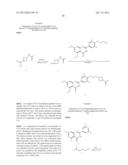 TREATMENT OF DISEASES BY EPIGENETIC REGULATION diagram and image