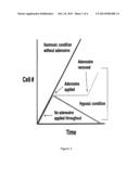 Metabolic Downregulation for Cell Survival diagram and image