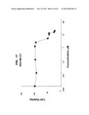 DDX3 AS A BIOMARKER FOR CANCER AND METHODS RELATED THERETO diagram and image