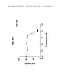 DDX3 AS A BIOMARKER FOR CANCER AND METHODS RELATED THERETO diagram and image