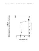 DDX3 AS A BIOMARKER FOR CANCER AND METHODS RELATED THERETO diagram and image