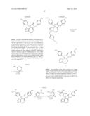 DDX3 AS A BIOMARKER FOR CANCER AND METHODS RELATED THERETO diagram and image