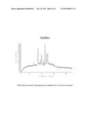 SUBSTITUTED ISOQUINOLINONES AND QUINAZOLINONES diagram and image