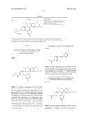 SUBSTITUTED ISOQUINOLINONES AND QUINAZOLINONES diagram and image